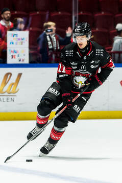Malmö Redhawks Sebastian Wännström