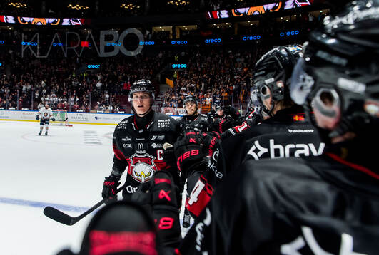 Malmö Redhawks Fredrik Händemark jublar