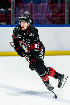 Malmö Redhawks Robin Salo