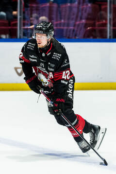 Malmö Redhawks Robin Salo