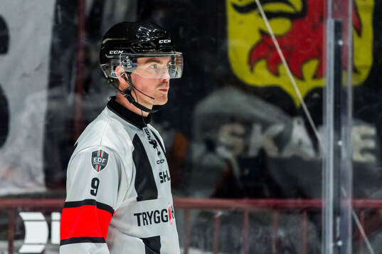 Domare Filip Eriksson