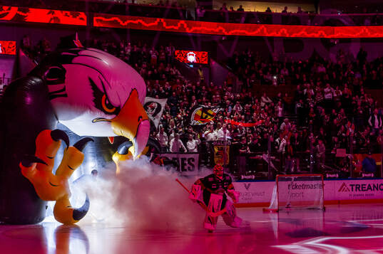Malmö Redhawks målvakt Daniel Marmenlind