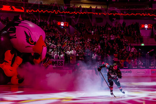 Malmö Arena