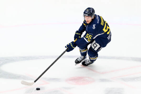 HV71s Andreas Borgman