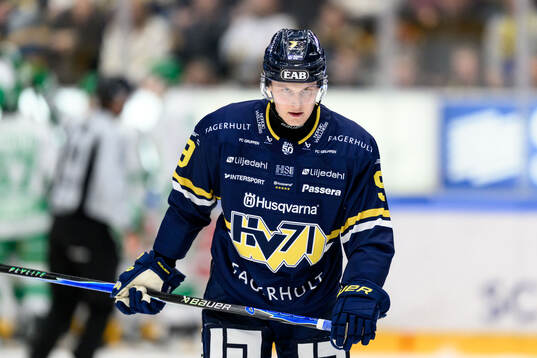 HV71s Hugo Pettersson deppar