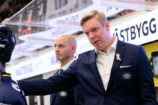 HV71s tränare Anton Blomqvist