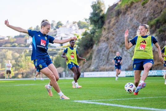 Bläddra bland fler bilder av Football, Sweden, Training