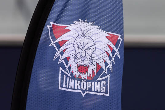 Linköpings logga