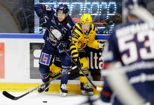 Linköpings Jakub Vrana och Skellefteås Zeb Forsfjäll