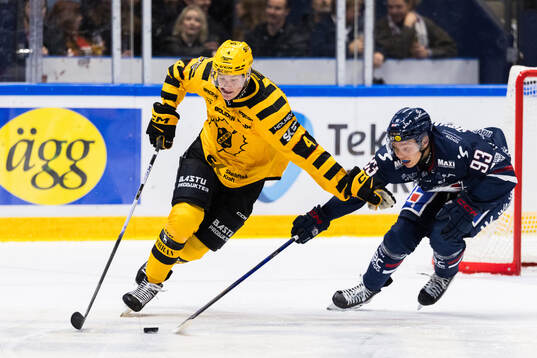 Skellefteås Rasmus Bergqvist och Linköpings Oliver