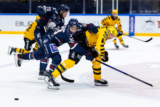 Linköpings Ty Rattie och Skellefteås Pär Lindholm