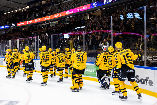 Skellefteås spelare jublar