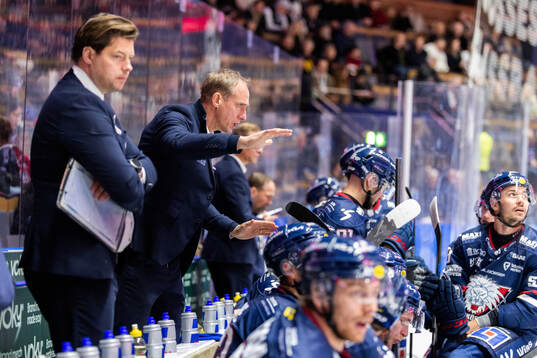 Linköpings tränare Mikael Håkanson