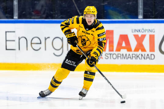 Skellefteås Oliver Okuliar