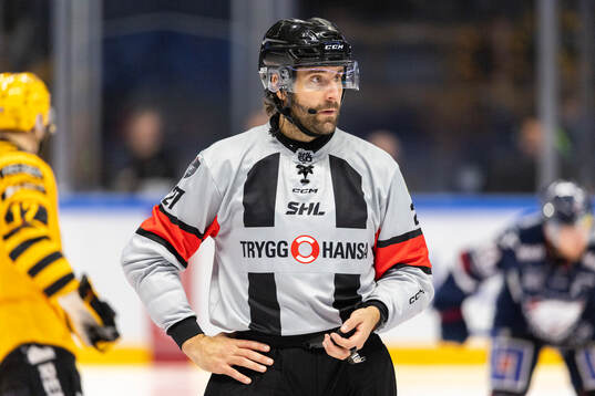 Domare Mikael Sjöqvist