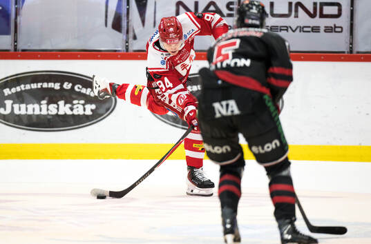 Timrås Sebastian Hartmann