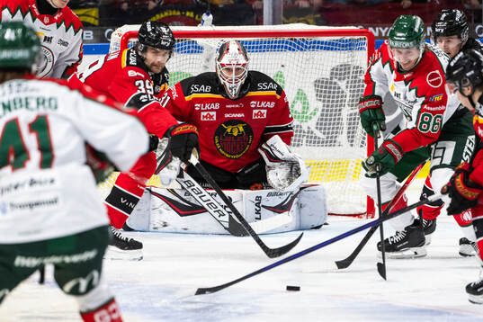 Luleås målvakt Matteus Ward
