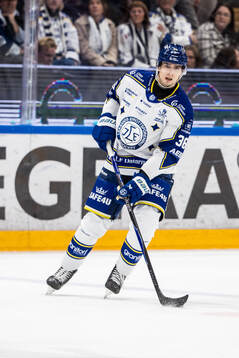 Leksands Stefan Milosevic