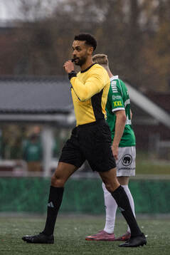 Domare Farouk Nehdi