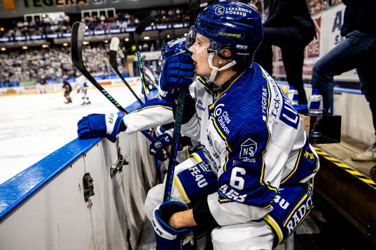Leksands Alexander Lundqvist deppar