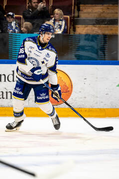 Leksands Stefan Milosevic