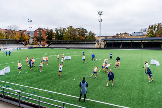 Malmö IP
