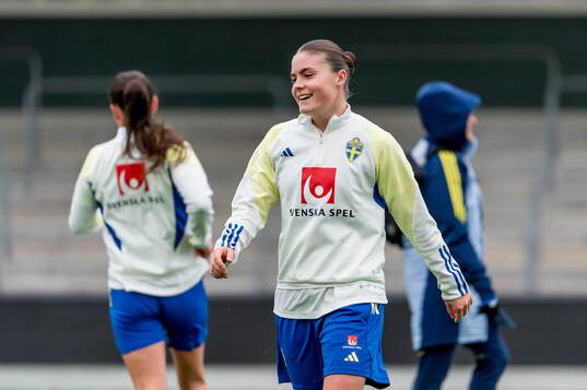 Hanna Wijk