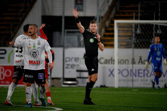 Domare Erik Mattsson