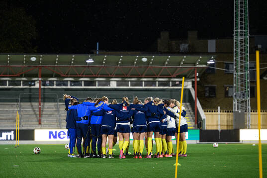 Players of Sweden