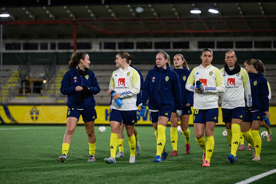 Players of Sweden