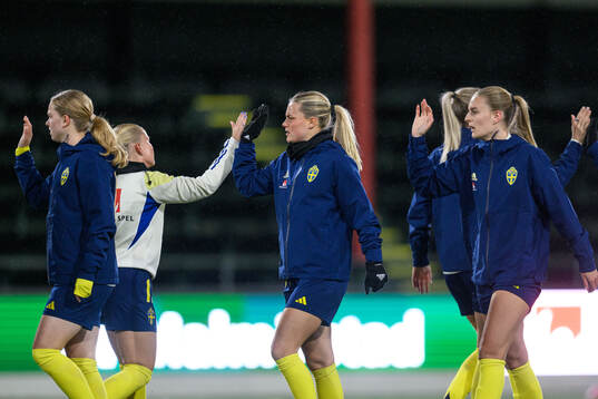 Players of Sweden
