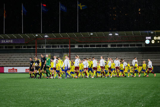 Players of Sweden and of Germany