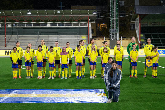 Players of Sweden