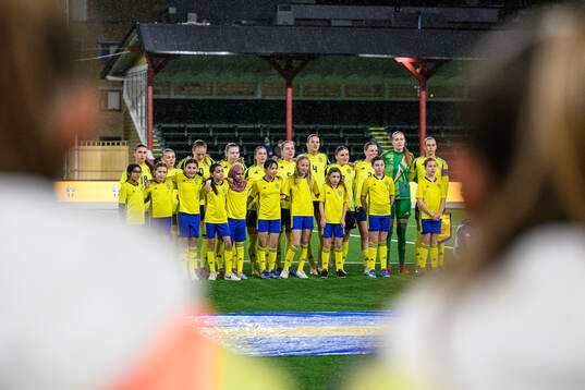 Players of Sweden