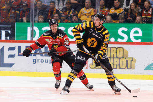 Bläddra bland fler bilder av Ishockey, SHL, Skellefteå - Luleå