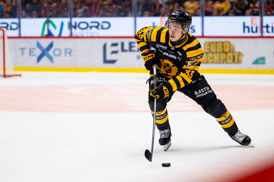 Skellefteås Zeb Forsfjäll
