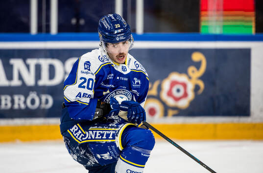 Leksands Nolan Stevens