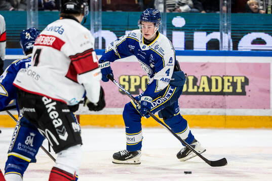 Leksands Tinus Luc Koblar