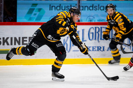 Skellefteås Rickard Hugg