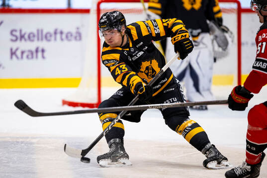 Skellefteås Max Krogdahl