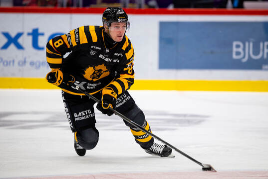 Skellefteås Oliver Okuliar