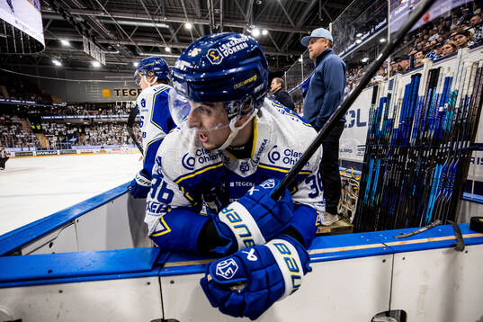 Leksands Stefan Milosevic