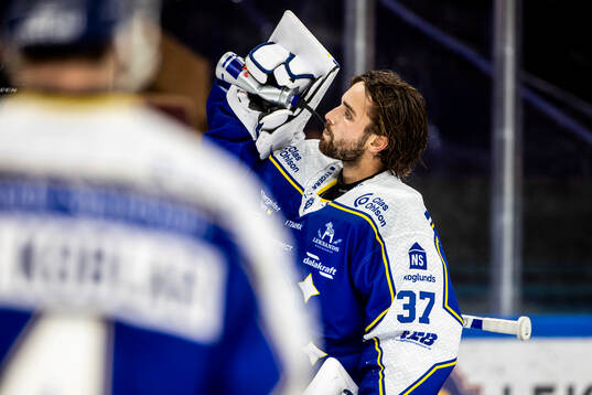 Leksands målvakt Jakob Hellsten