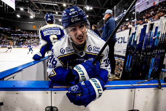 Leksands Stefan Milosevic