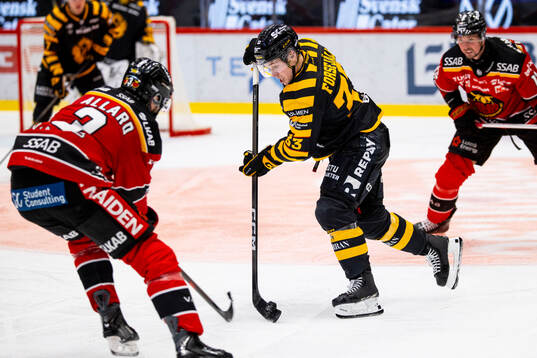 Skellefteås Zeb Forsfjäll