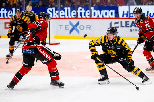 Skellefteås Zeb Forsfjäll