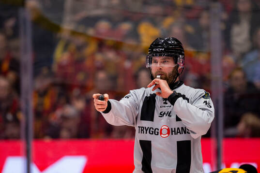 Domare Andréas Svensson