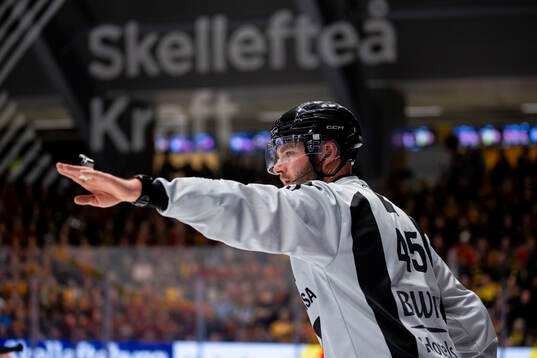 Domare Andréas Svensson