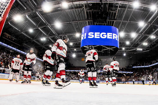 Malmö Redhawks spelarna deppar