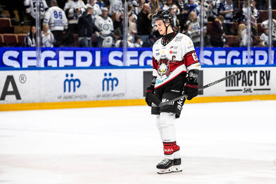 Malmö Redhawks Fredrik Händemark deppar
